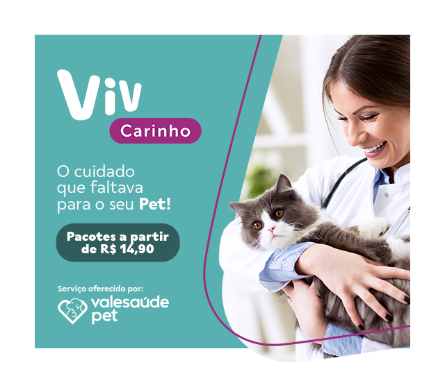Viv Carinho banner