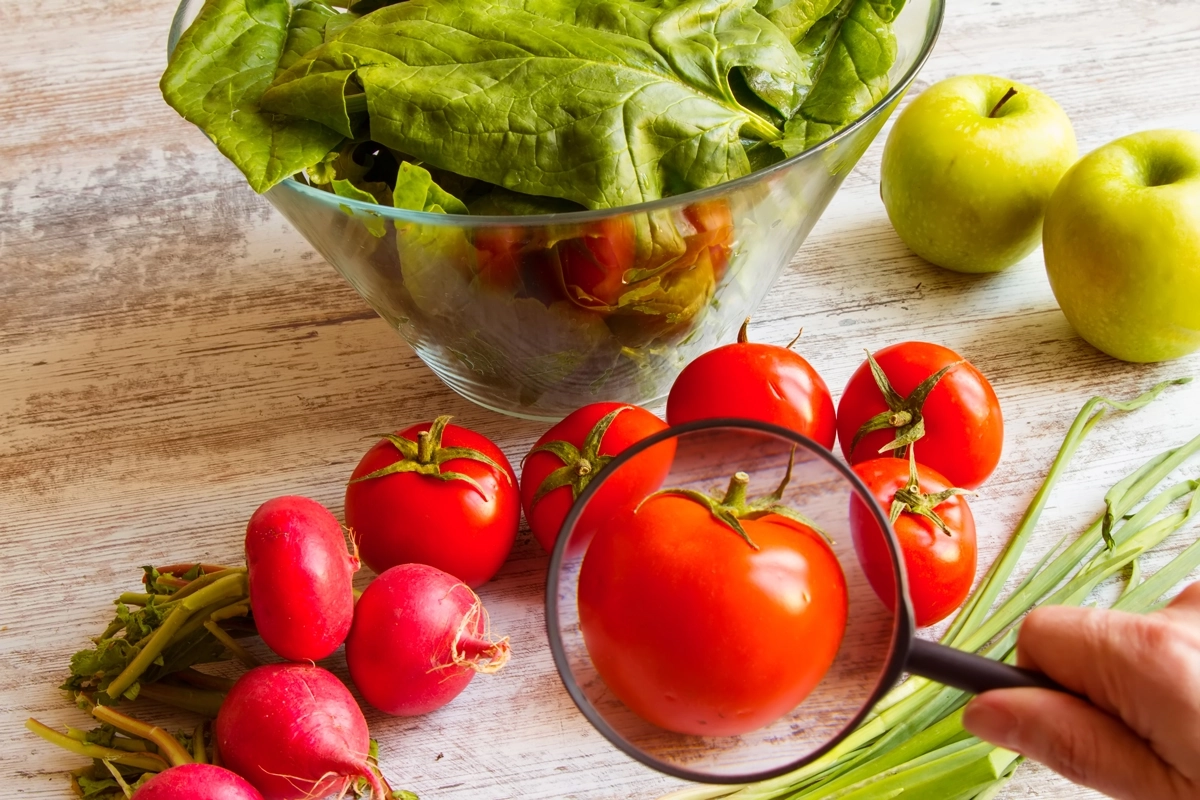 As normas alimentares e a segurança dos alimentos As normas alimentares e a segurança dos alimentos