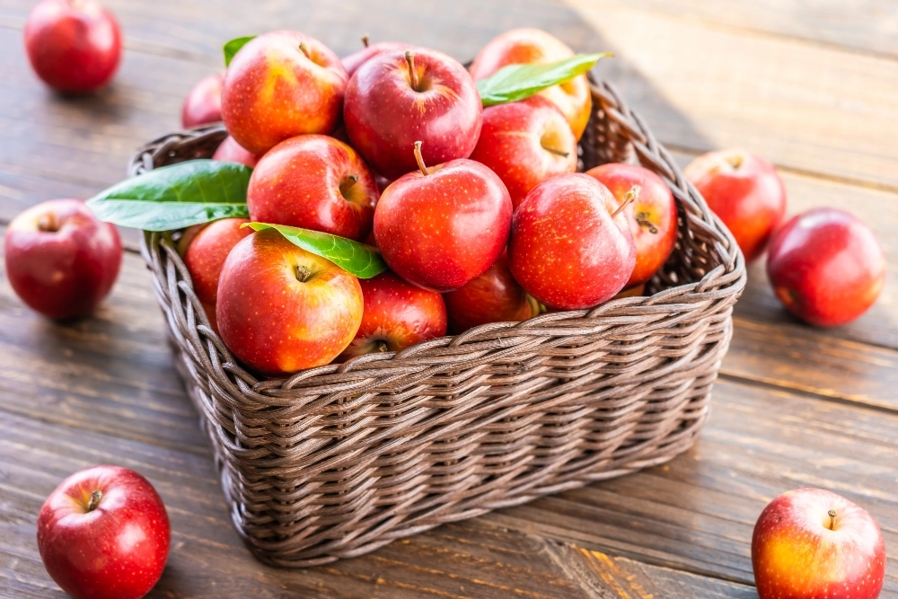 Maçã: a fruta que não é fruta.