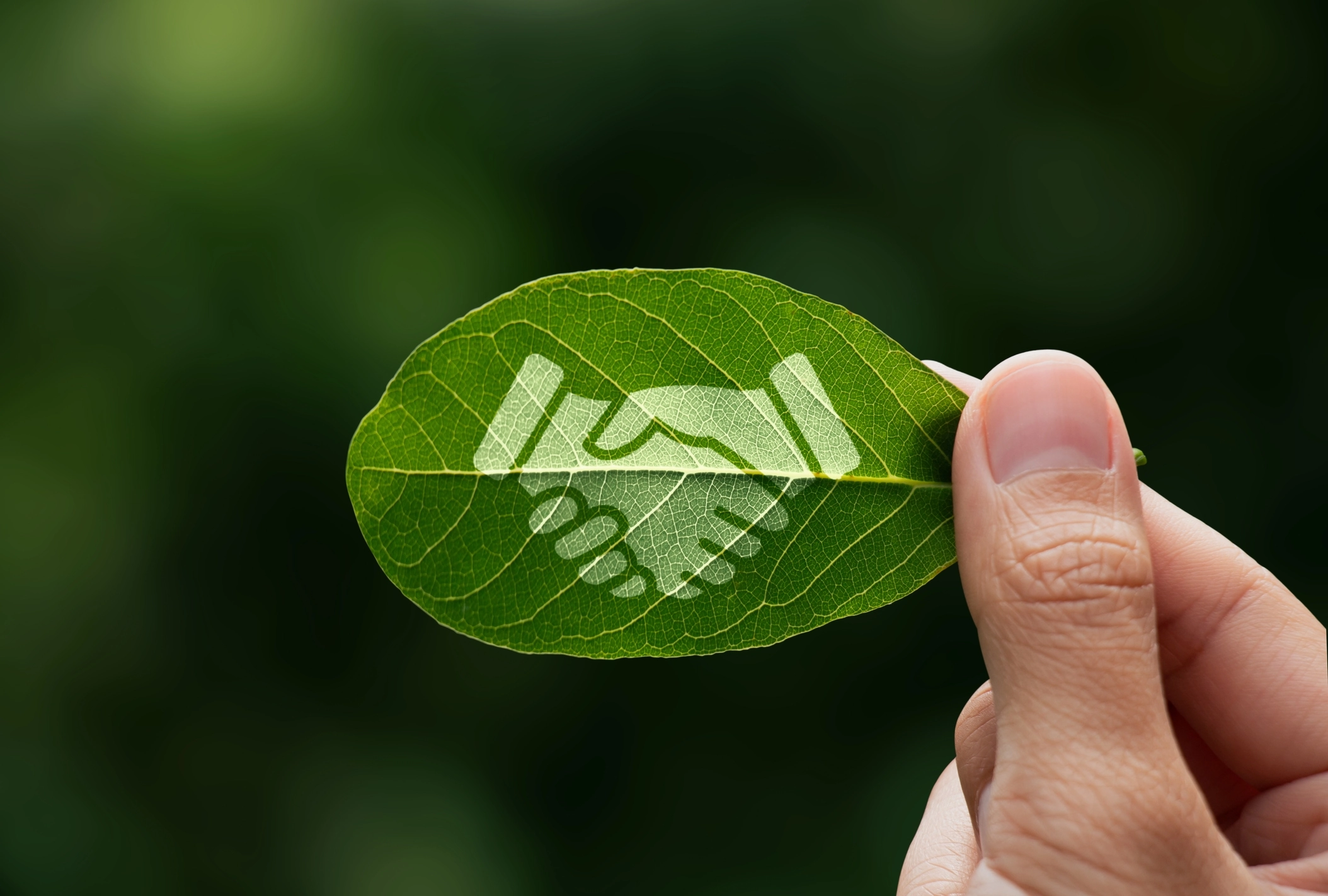 Sustentabilidade como estratégia de valor: por que adotá-la em seu negócio?