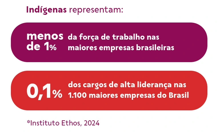 Dados de indígenas no mercado de trabalho.