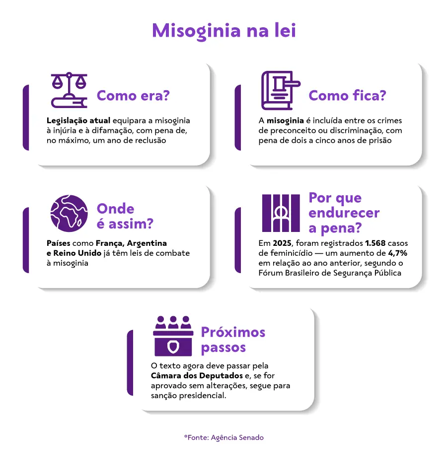 Infografico - Misoginia na lei